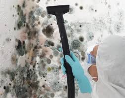 Best Basement Mold Removal  in Okauchee Lake, WI